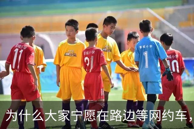 为什么大家宁愿在路边等网约车，也不愿意去坐就在路边的出租车？