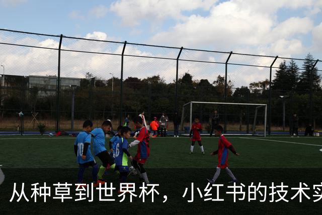 从种草到世界杯，小红书的技术实力藏不住了