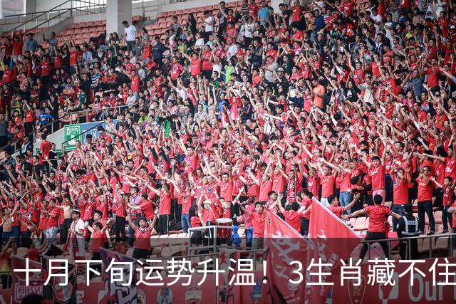 十月下旬运势升温！3生肖藏不住的野心，属猪的这次踩稳事业快车