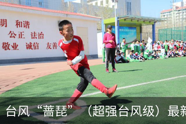 台风“蔷琵”（超强台风级）最新路径公布，最大风力达17级，将给浙沪闽台带来强风雨，或在福建二次登陆