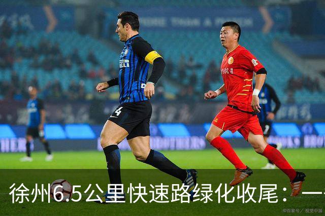 徐州6.5公里快速路绿化收尾：一条高架的价值，一半在桥面上，一半在桥下