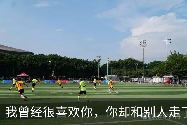 我曾经很喜欢你，你却和别人走了