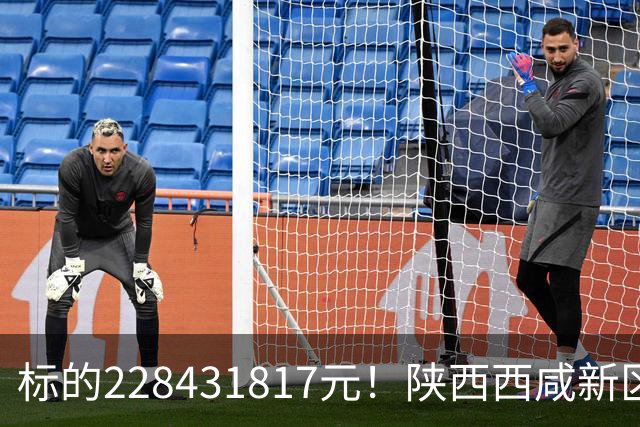 标的228431817元！陕西西咸新区发展集团有限公司新增被执行人记录