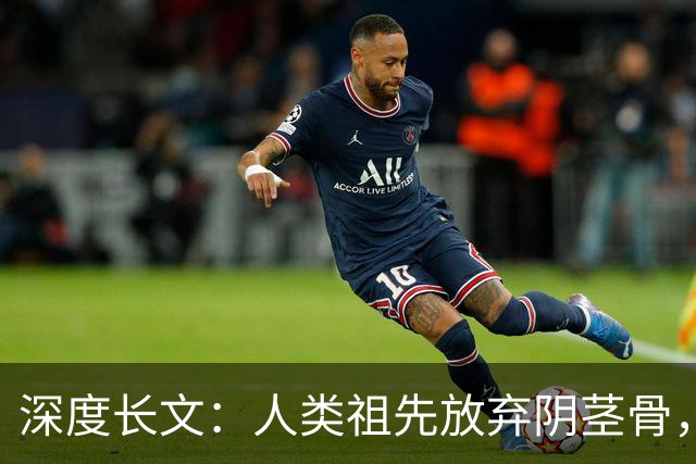 深度长文：人类祖先放弃阴茎骨，换来了无法伪装的亲密！