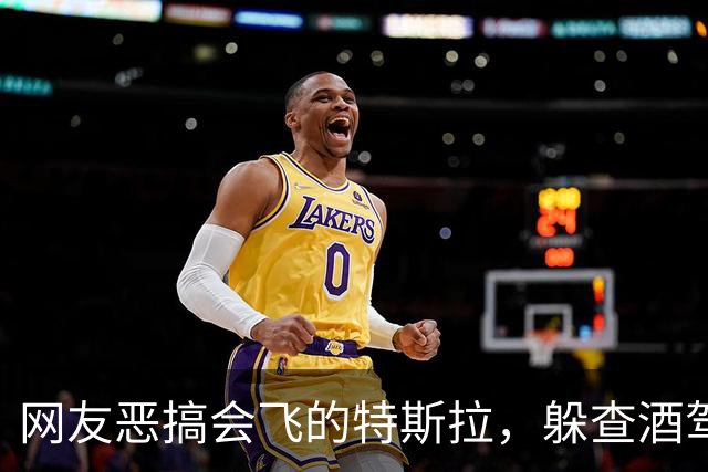 网友恶搞会飞的特斯拉，躲查酒驾、冲收费站、飞河流，安全是关键