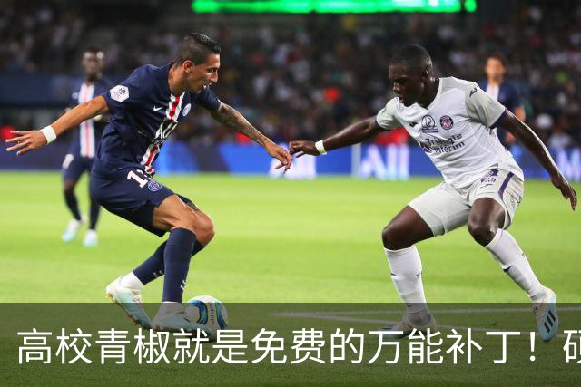 高校青椒就是免费的万能补丁！硕士点申报、师范认证、科研秘书......一样都没有落下，结果等到奖励的时候，什么都没有！！